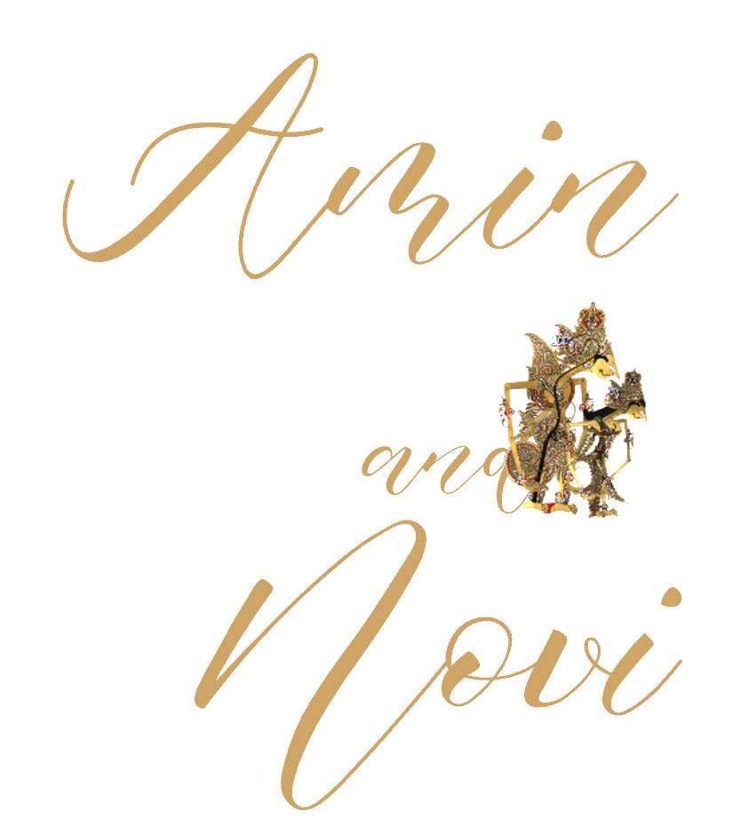 Amin Novi