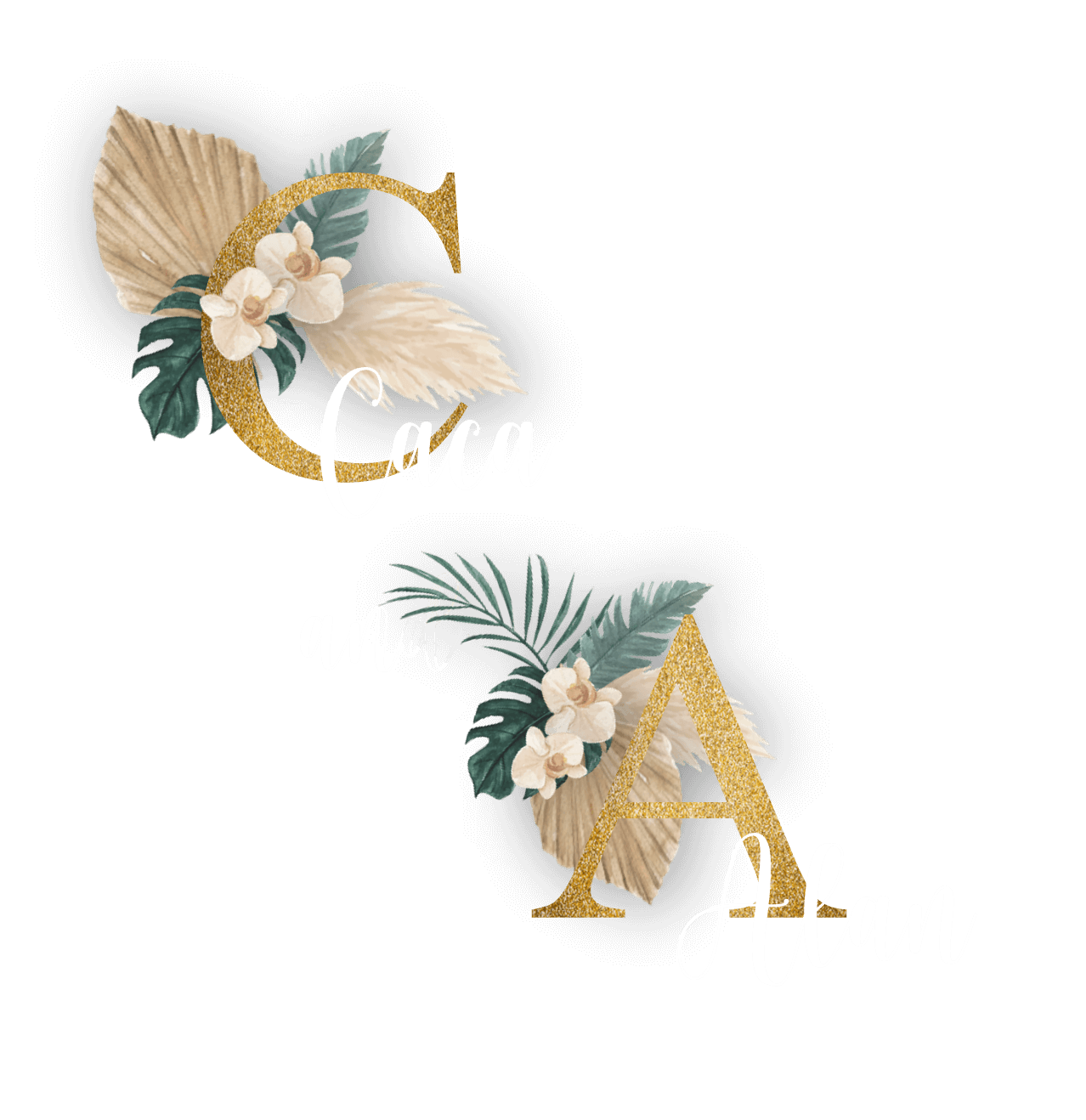 Caca Alan 2