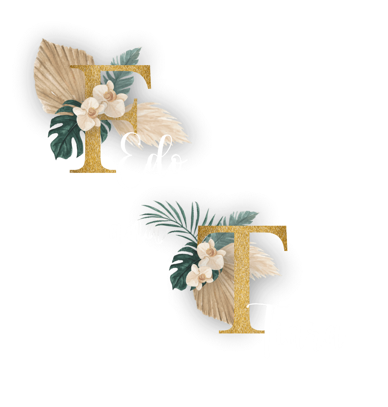 Edo Tiara 2