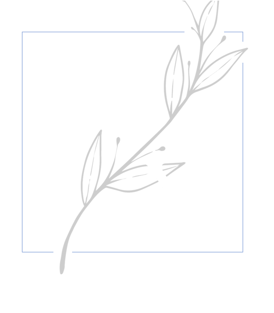 FY