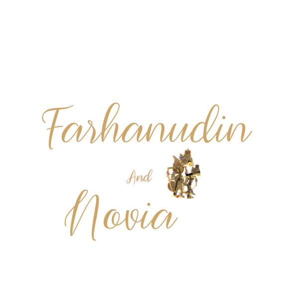 farhanudin novia 1