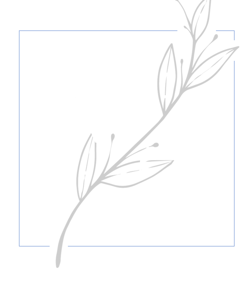 VZ
