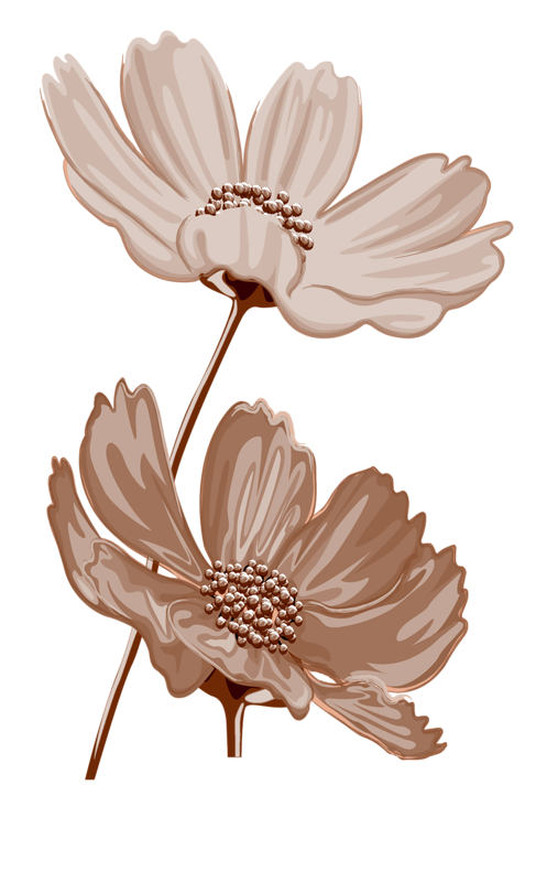 Ornamen bunga cream 1 1.png
